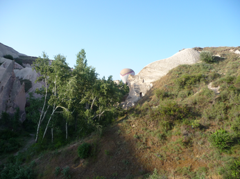 P1040555.JPG 3456x2592 index 311